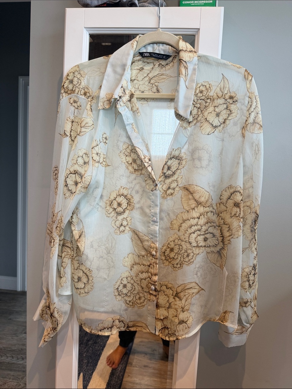 Zara Sheer Cream Floral Button-Down Blouse